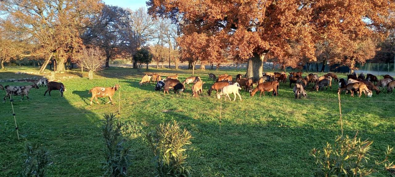 Gite La Truffiere Gras Exterior foto